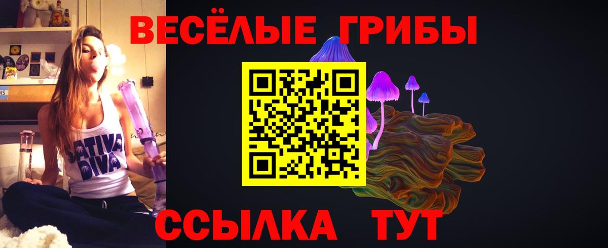 Псилоцибиновые грибы GOLDEN TEACHER Балахна
